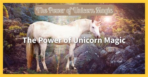 Unicorn magicah shekl